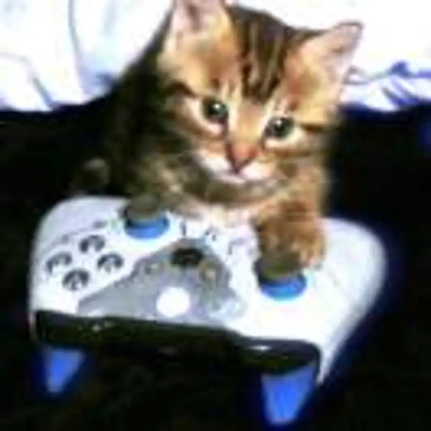 猫与鱼ʢᴗ.ᴗʡᶻ的头像