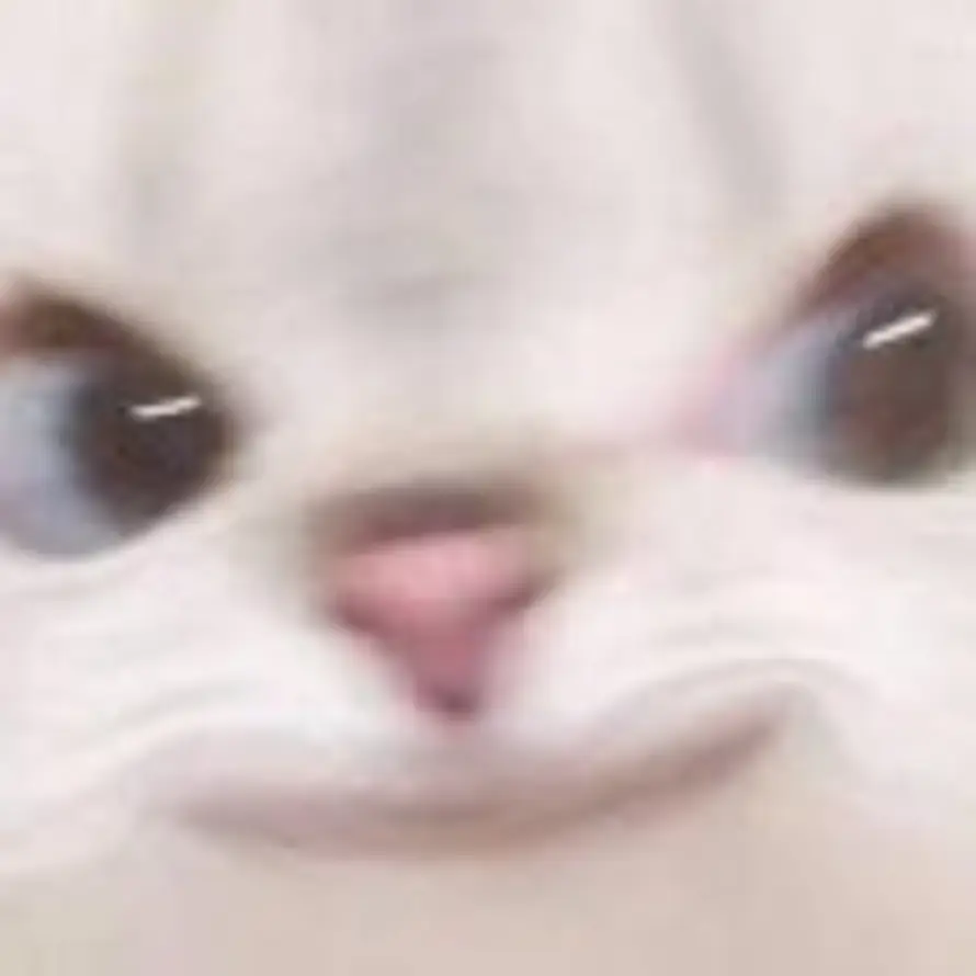 Serendipity.的头像