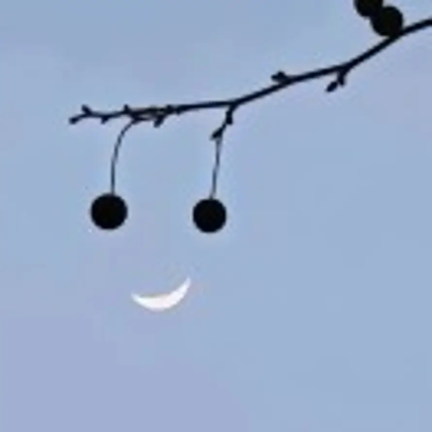 [$ǿĀD时间的头像