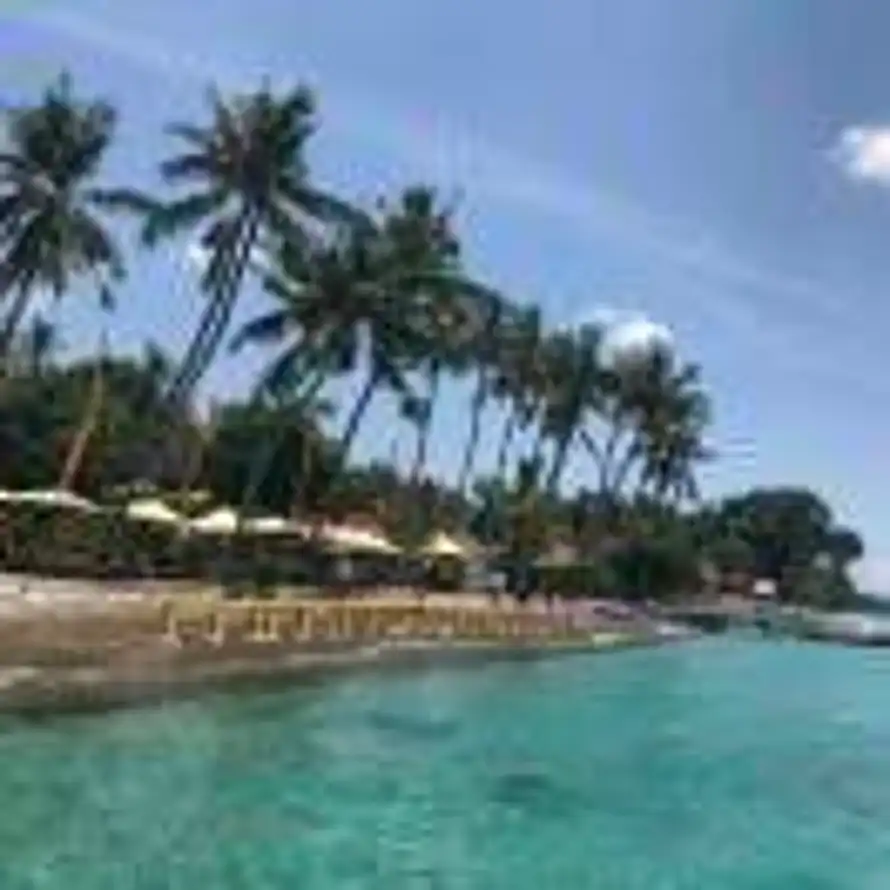 努力为明天的头像