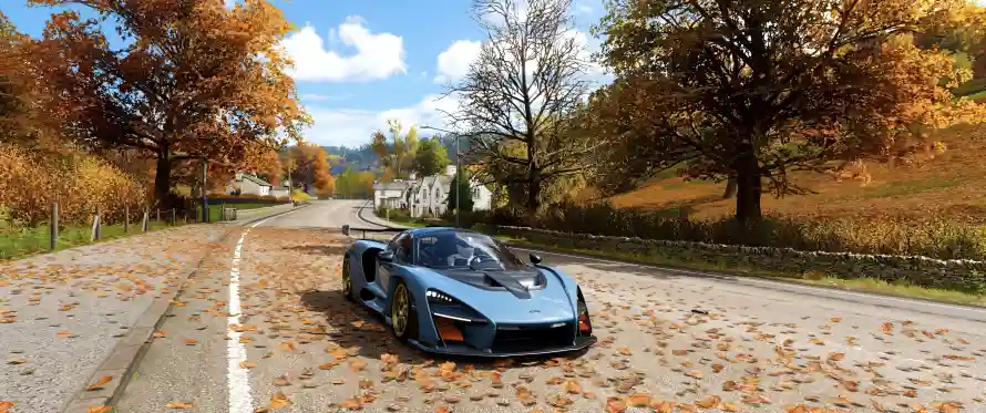 5k树木壁纸-乡村道路壁纸和秋天-自然风光免费下载「哲风壁纸」