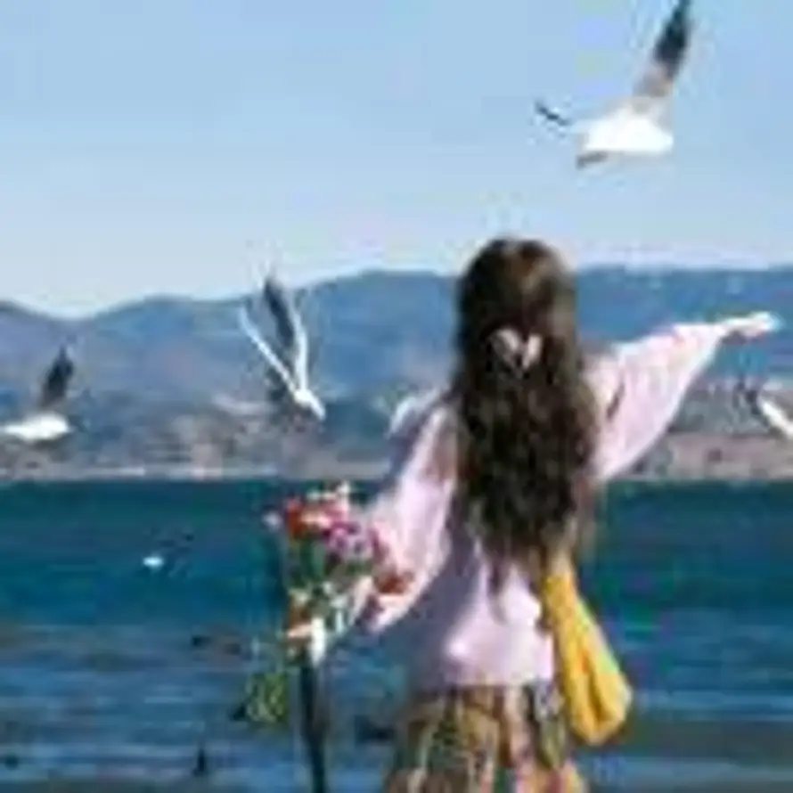 土豆铁子🥔的头像