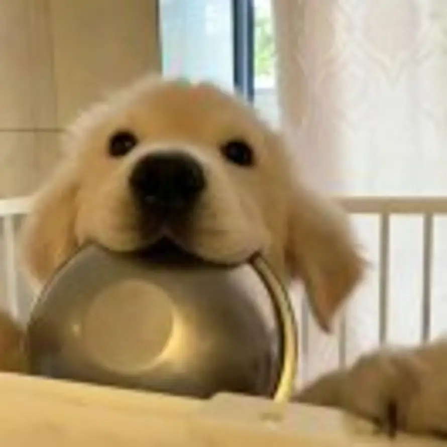 薇薇一笑的头像