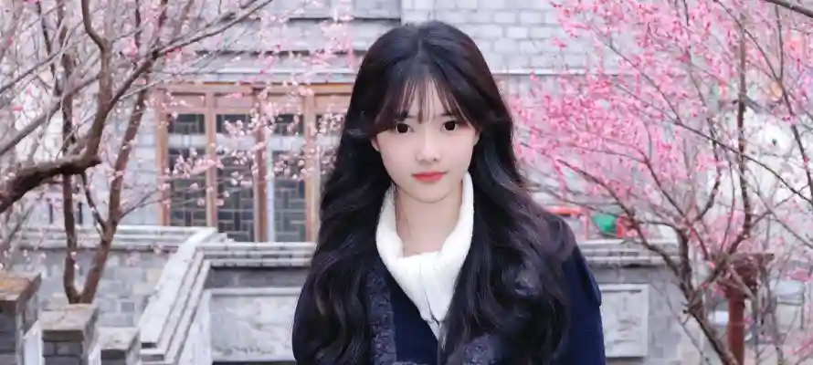 4k古风壁纸 - 春季 - 樱花 - 清纯「哲风壁纸」 4k古风壁纸 - 春季 - 樱花 - 清纯「哲风壁纸」