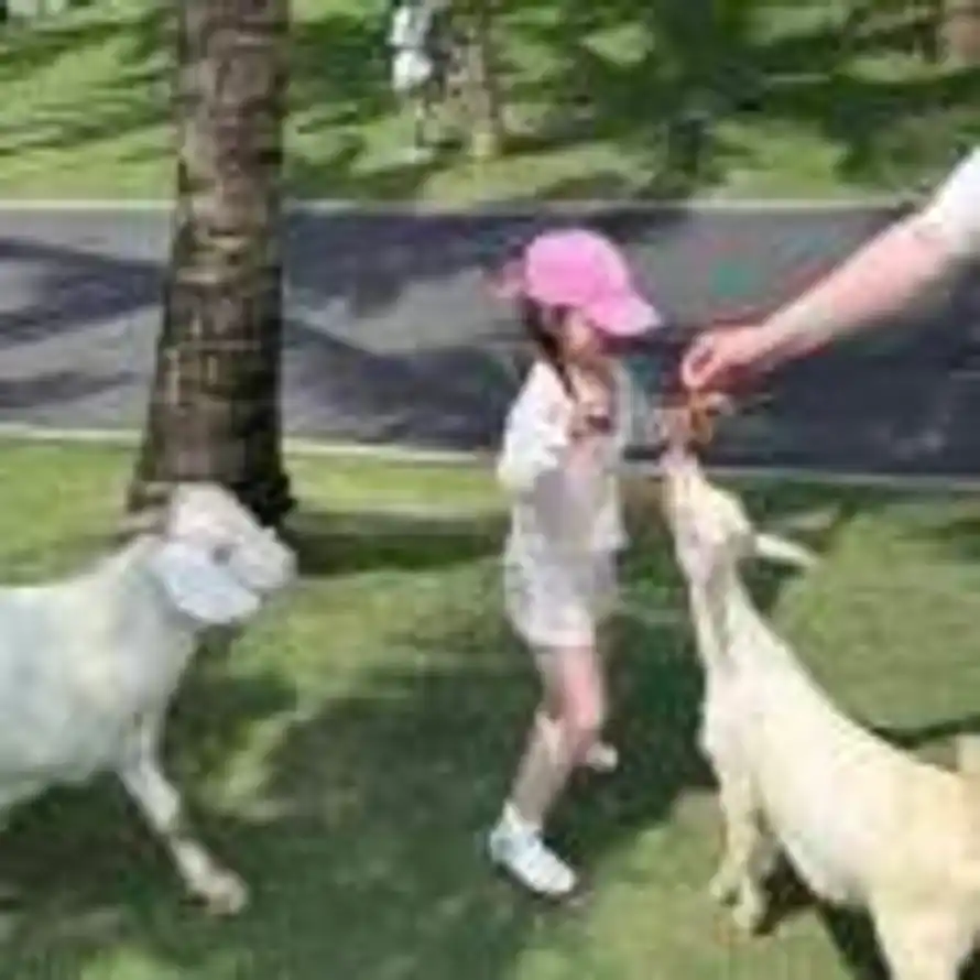 梨涡远点的头像