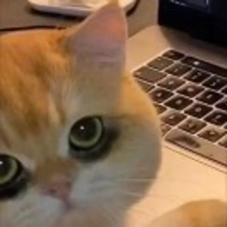 对方正在输入...的头像