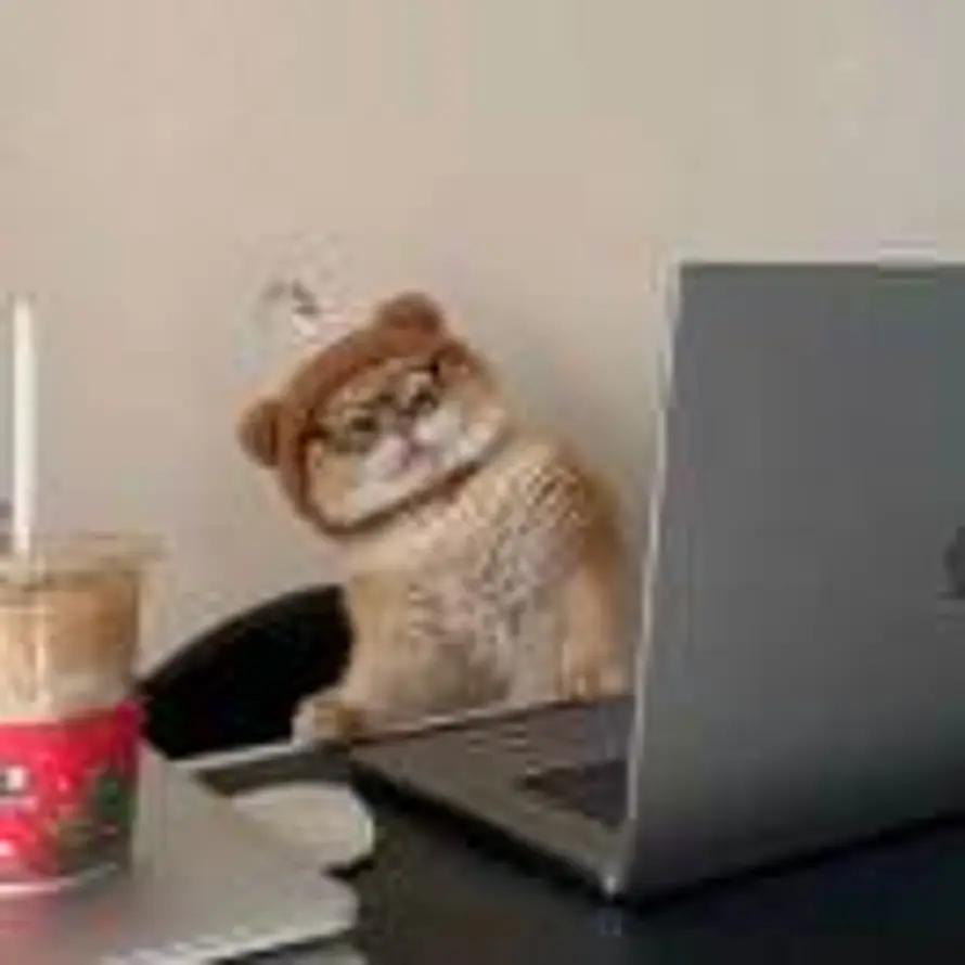 祈山鹤白的头像