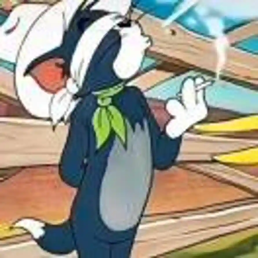 雨臣的头像