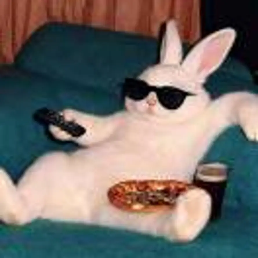 可🍧🍨tanika的头像