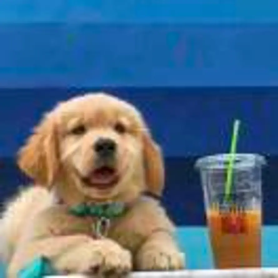 小边要努力啦的头像