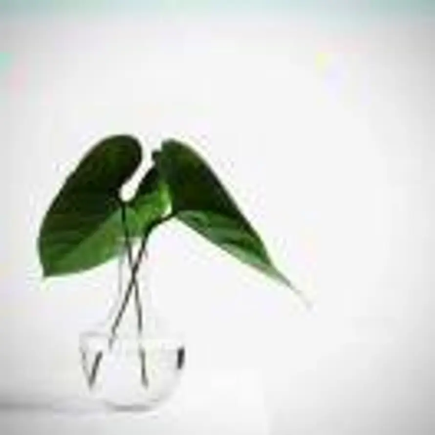 烟隐寒山的头像