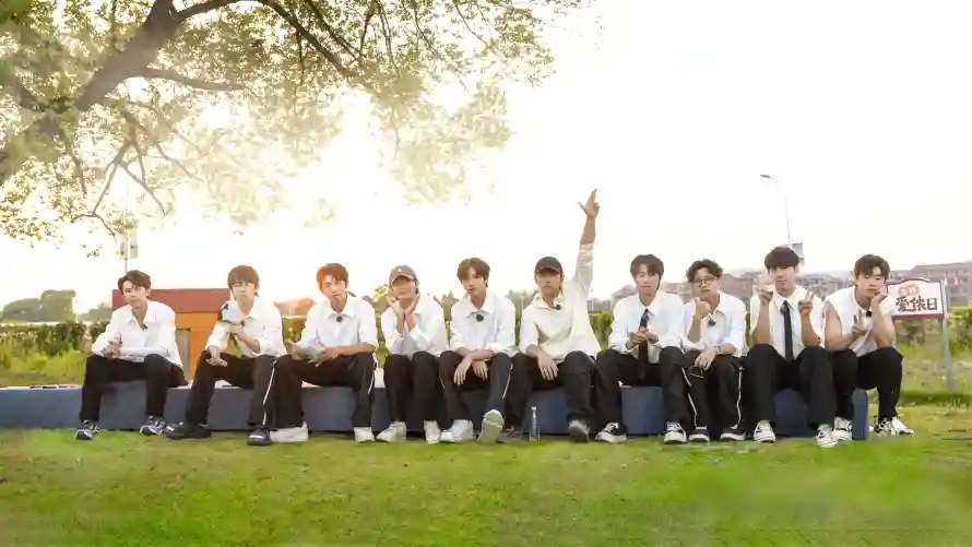 4k户外壁纸 - 树木 - 活力 - 草地「哲风壁纸」