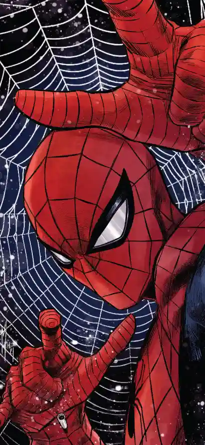 4k漫威壁纸 - 蛛网 - 蜘蛛侠 - 漫威宇宙「哲风壁纸」