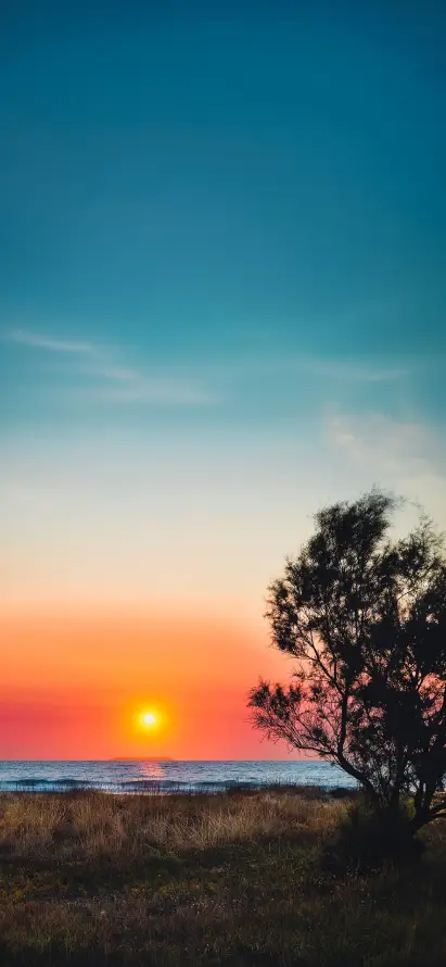 4k余晖壁纸 - 树 - 夕阳 - 宁静「哲风壁纸」