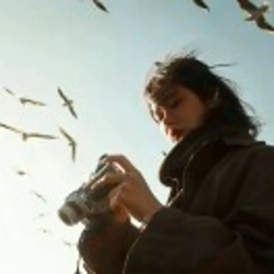 爱吃Fish香rose的头像