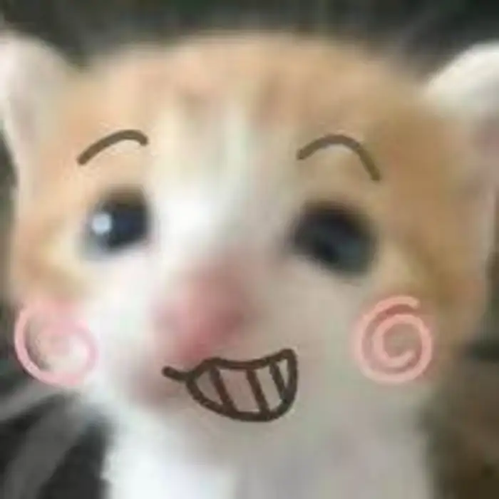 砰砰砰怦然心动的头像