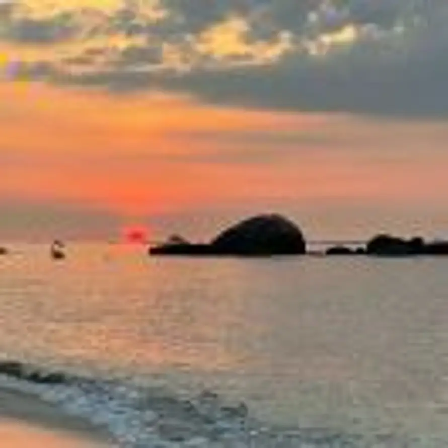 👶🏿Ysq。的头像