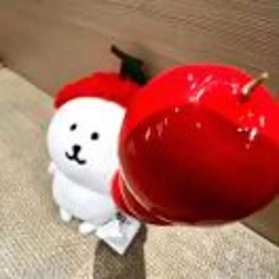 茶子花派的头像