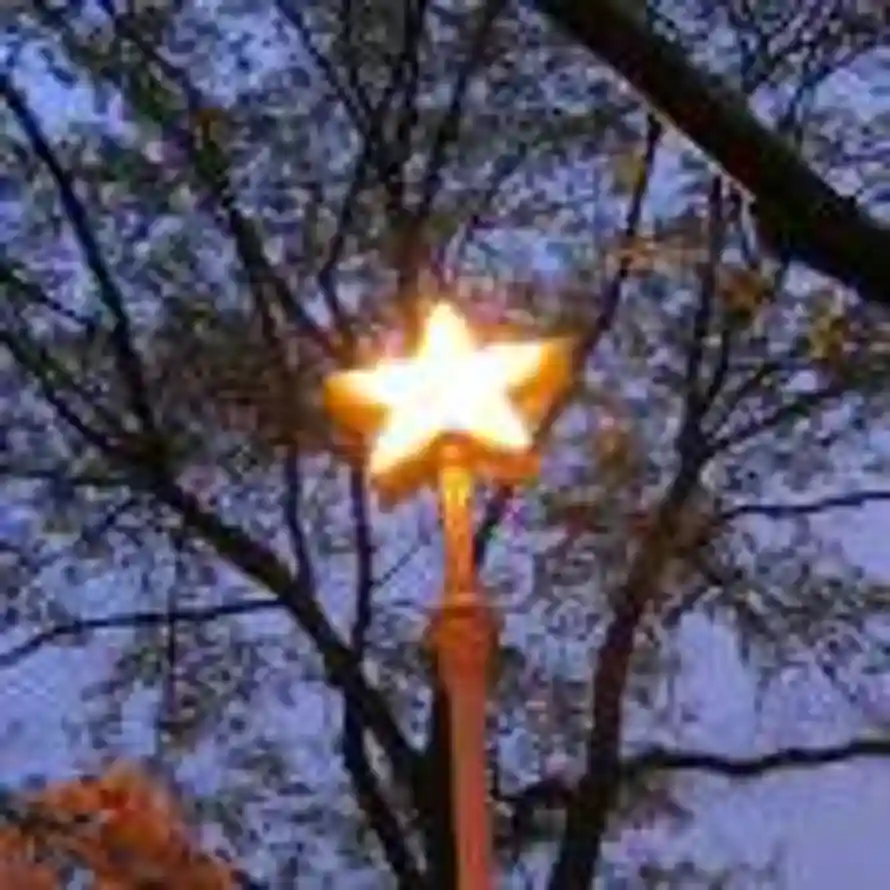 星星月亮太阳的头像