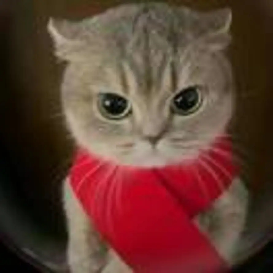 好久不见的头像