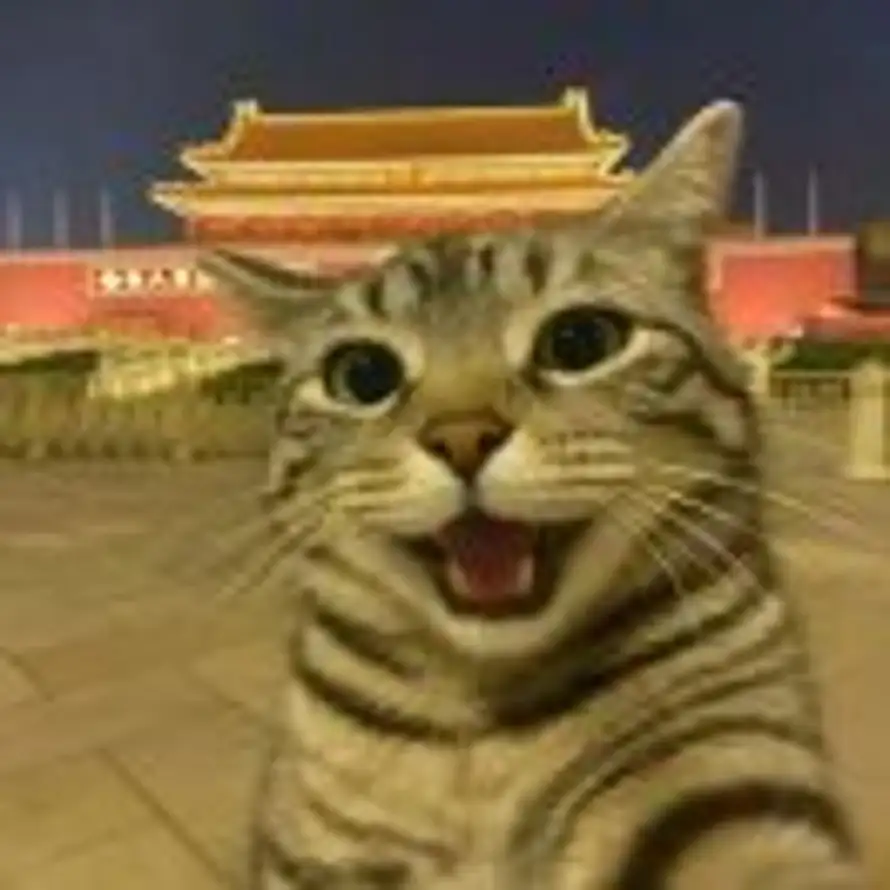 L的头像