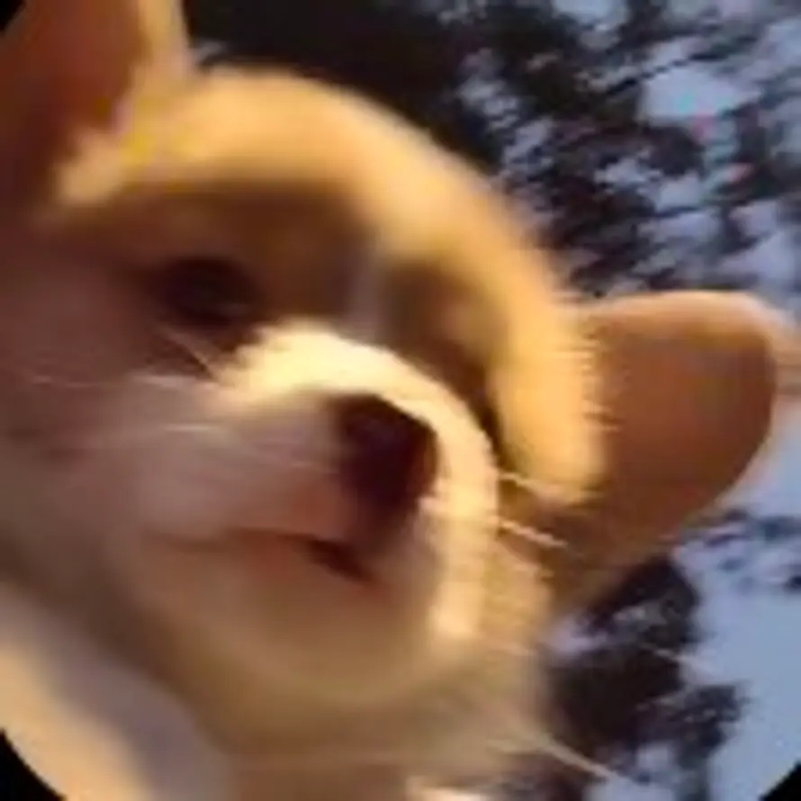 该用户不存在的头像