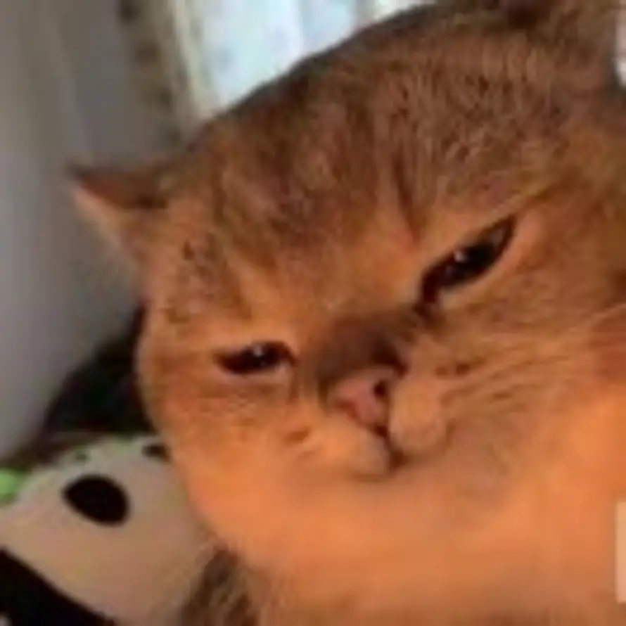 揽星衔宇的头像