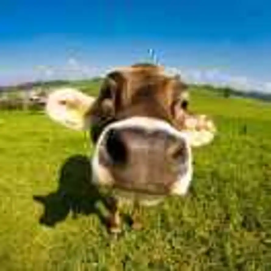 .的用户头像 - 哲风壁纸