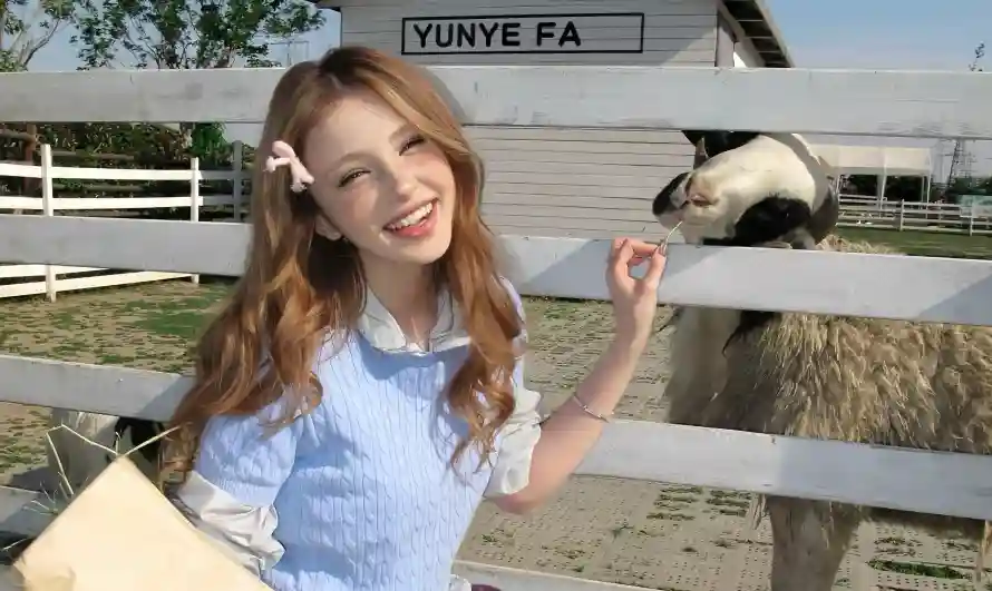 4k信封壁纸 - 农场 - 发夹 - 小羊「哲风壁纸」