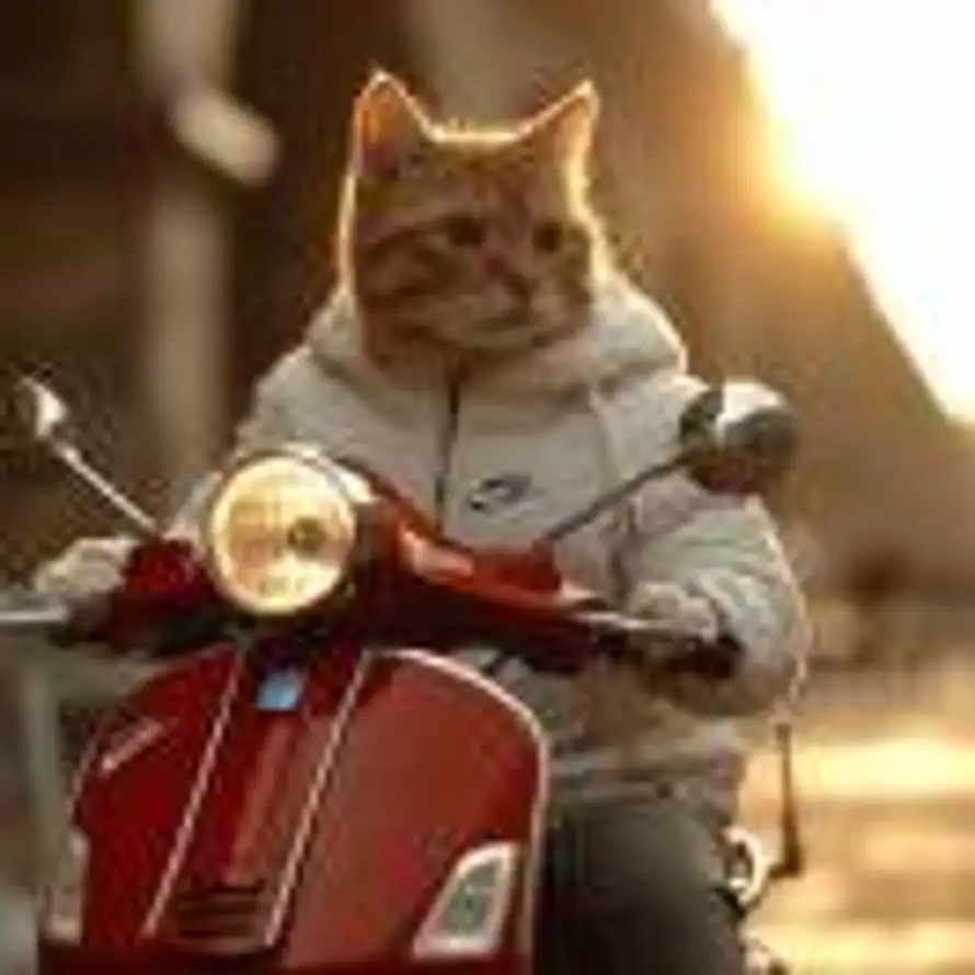 以往的誓言的头像