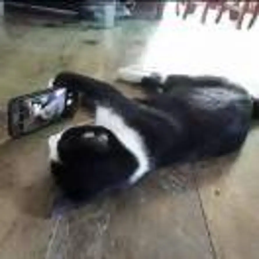 ₁₂₃₄₅的头像