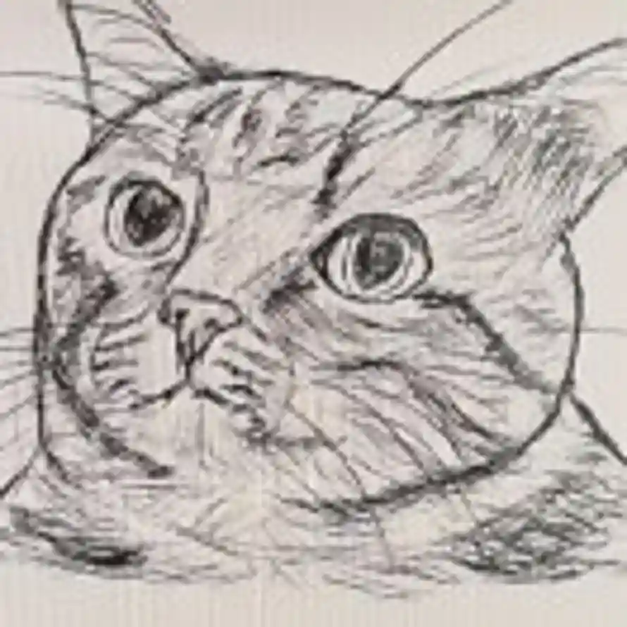 悠趣大赢家 的头像