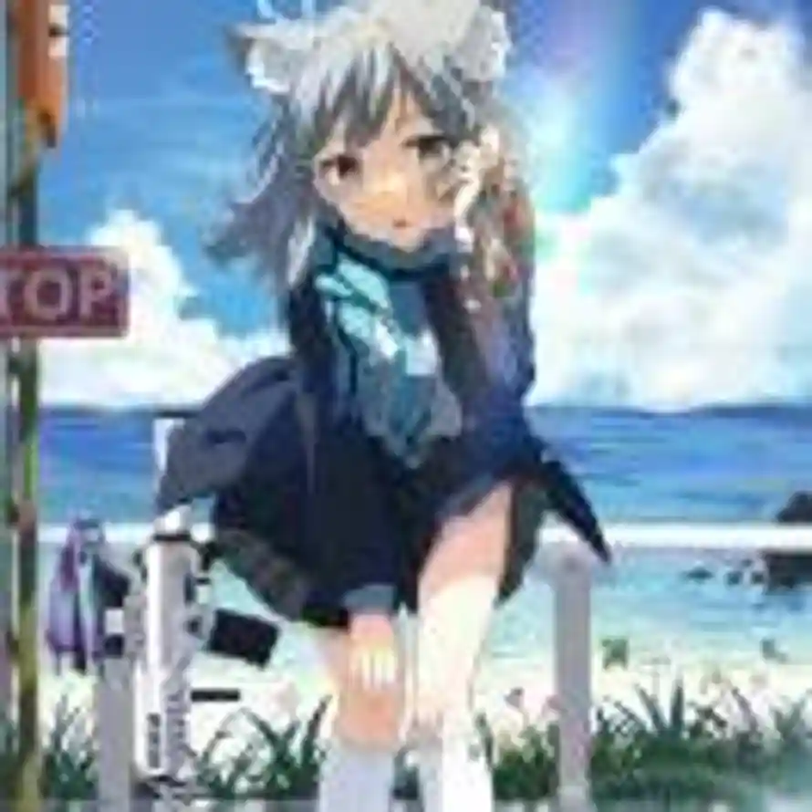 沙狼c白子的头像