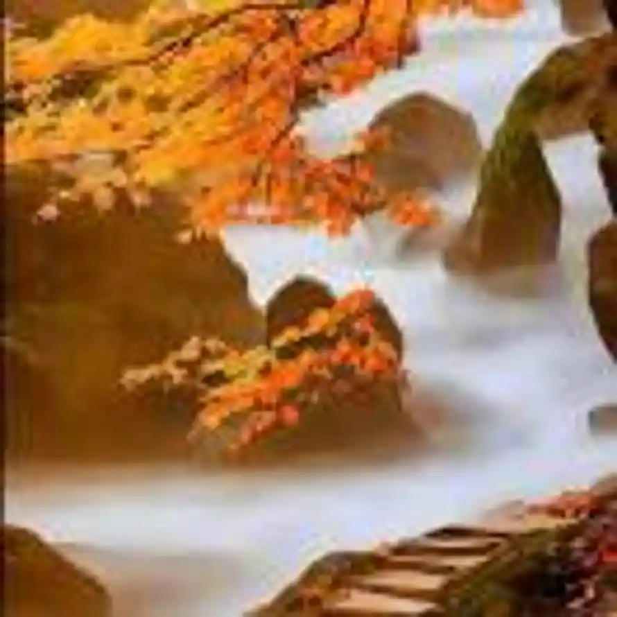 云淡风轻的头像