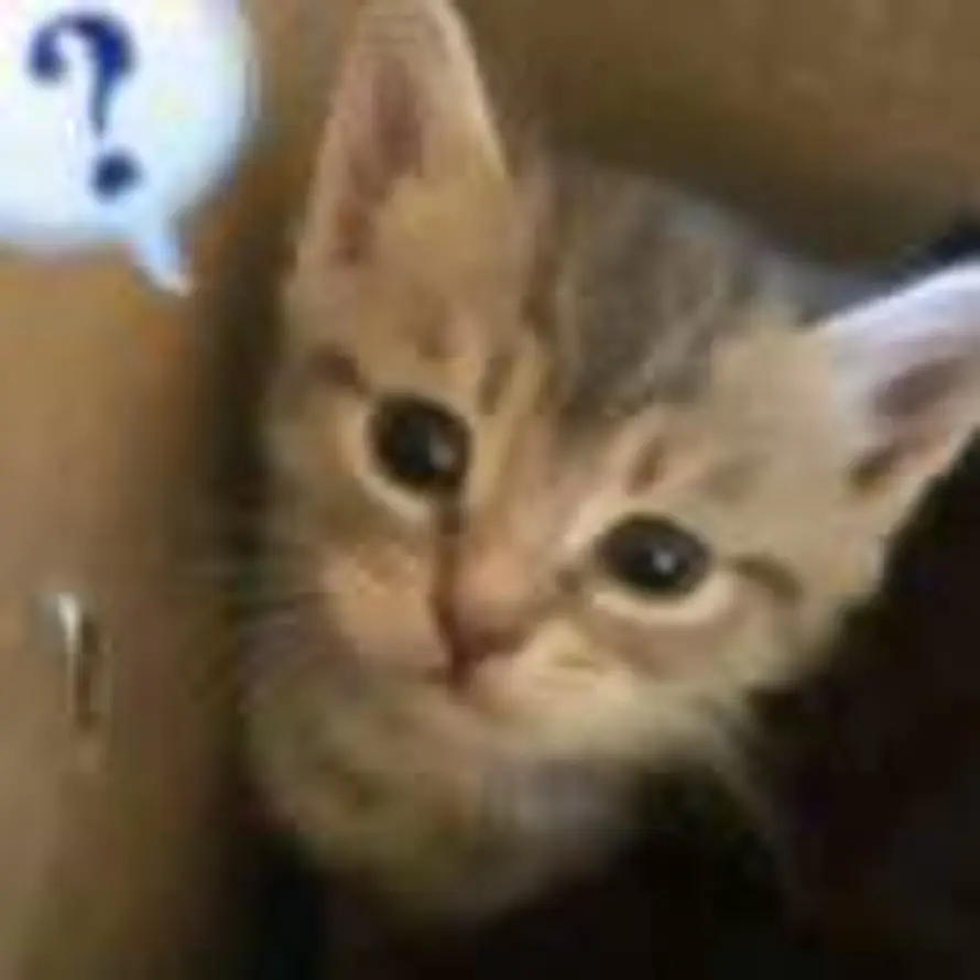 머리를 비우다的头像