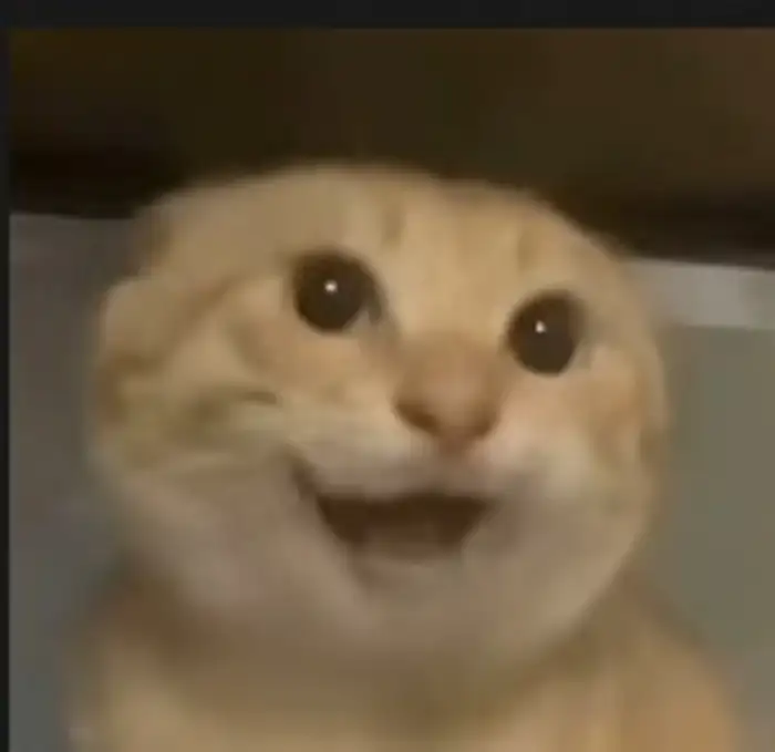 WhileTrue的用户头像 - 哲风壁纸