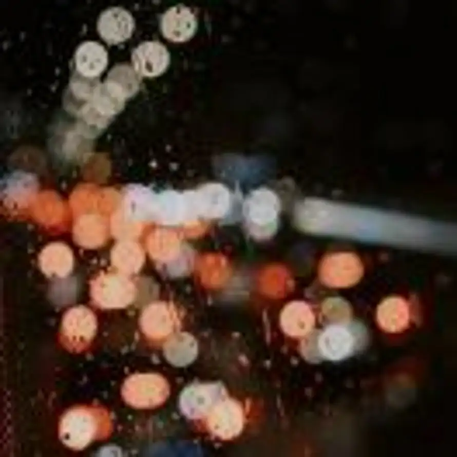 掉渣的智商的用户头像 - 哲风壁纸