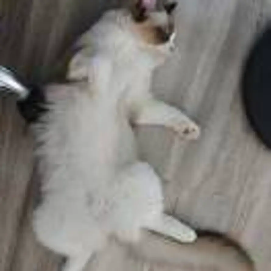 黄正龙@7x-networks的头像