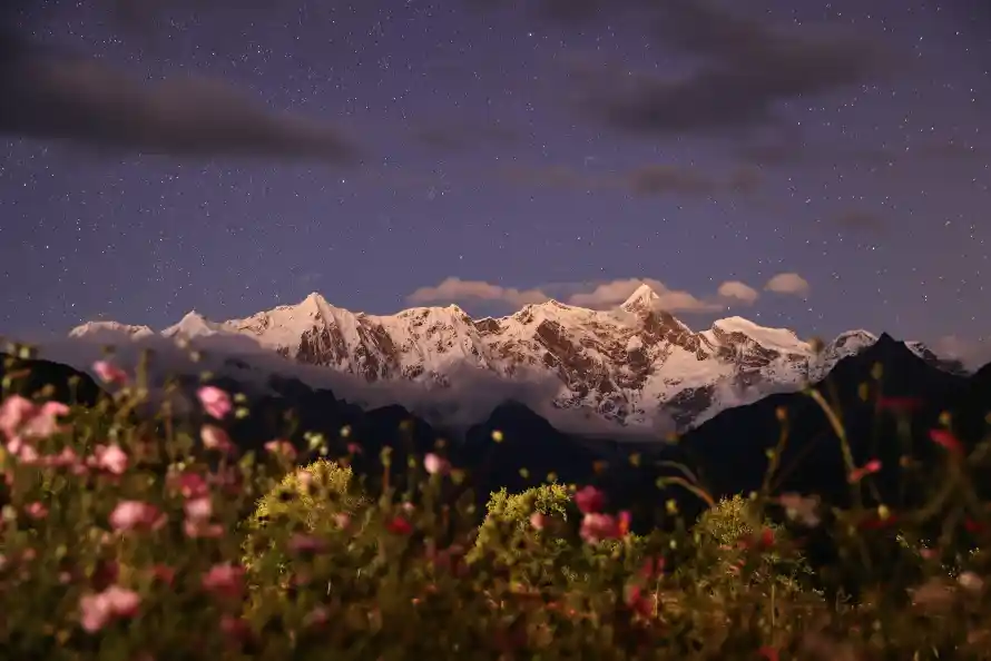 8k云雾壁纸-花花草草 - 雪山-热门的壁纸「哲风壁纸」