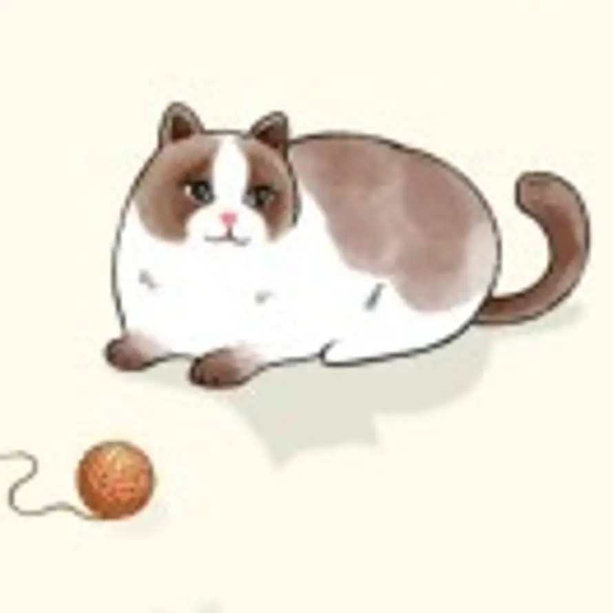 一起摇太阳的头像