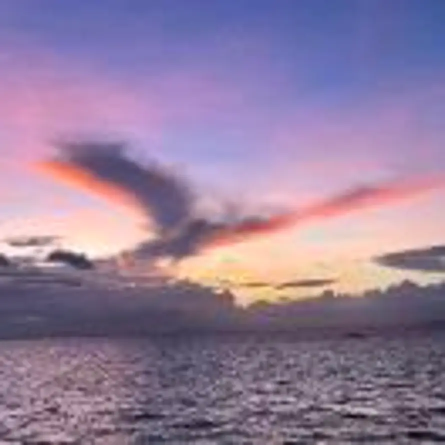 李奔跑👣的头像