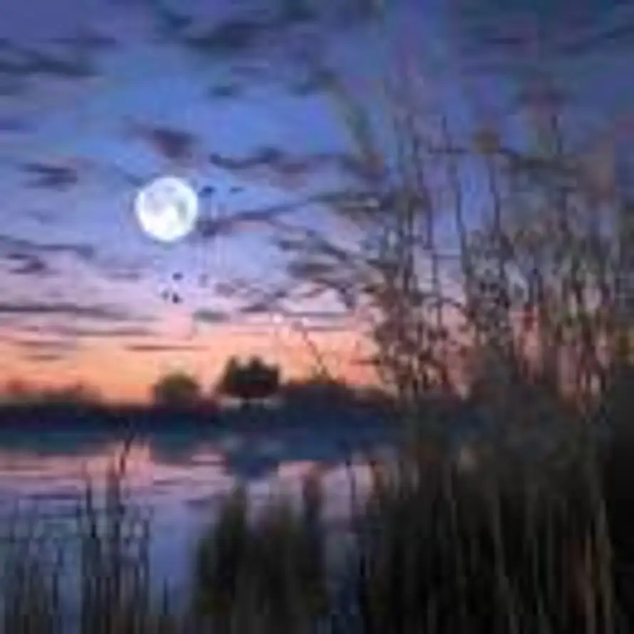 九五二七的头像