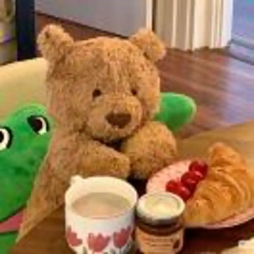 小🧸维尼的头像