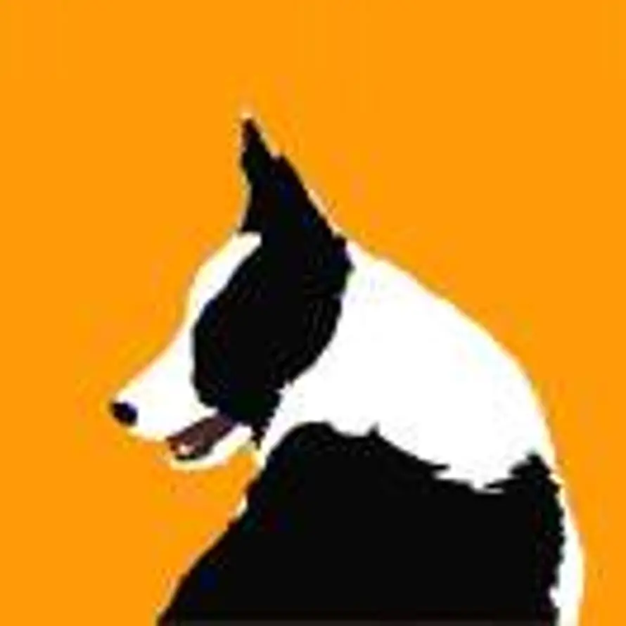 吃光一座城的头像