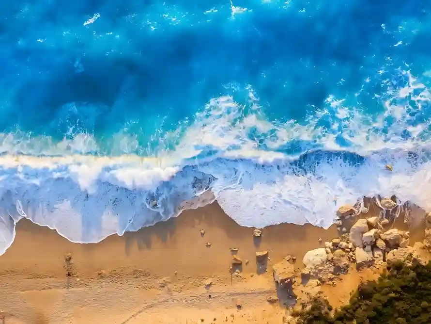 2k沙地壁纸-绿植和碧海-免费下载「哲风壁纸」