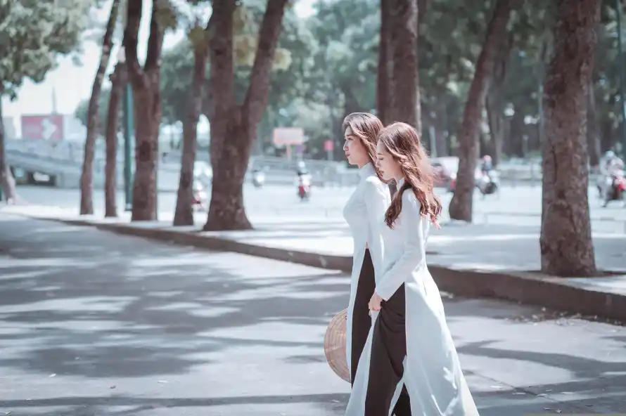 4k城市壁纸 - 奥黛 - 晴天 - 树影「哲风壁纸」