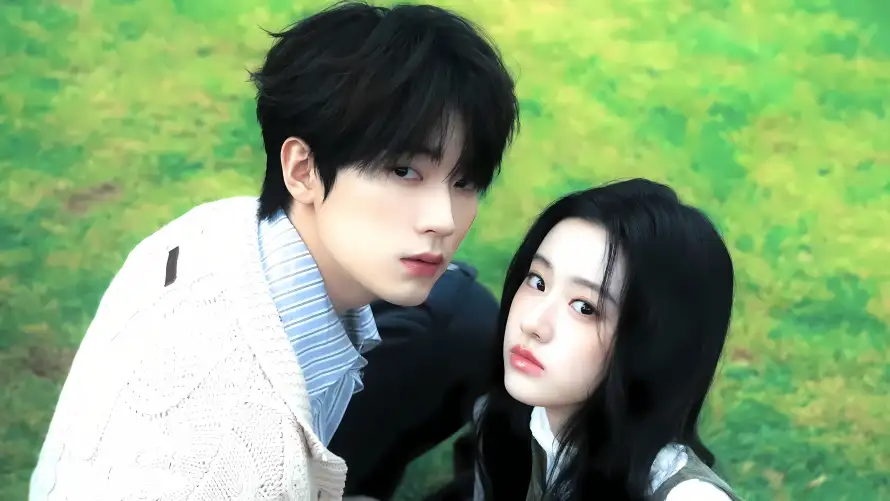 4k合照壁纸 - 情侣 - 草地 - 青春「哲风壁纸」