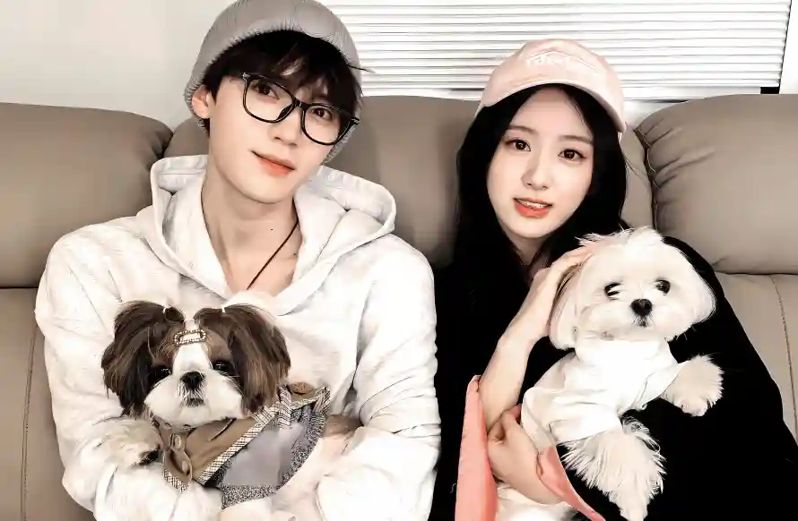 3k卫衣壁纸-包上恩壁纸和室内-黑框眼镜免费下载「哲风壁纸」