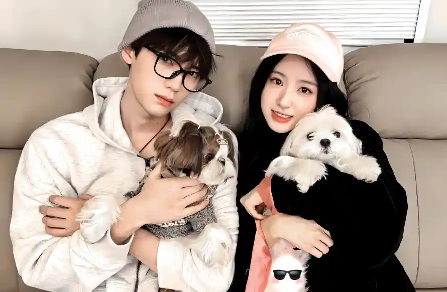 3k卫衣壁纸-包上恩和小狗-黑框眼镜壁纸推荐「哲风壁纸」