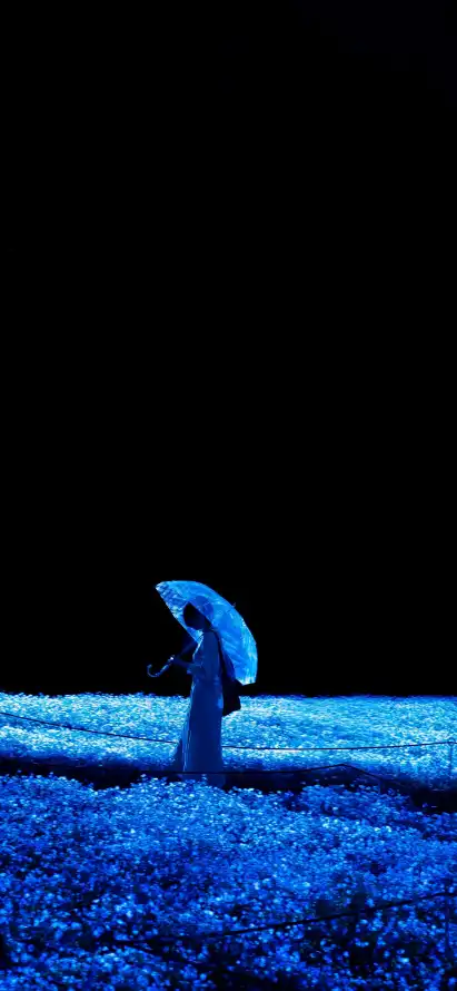 4k冷调壁纸 - 夜晚 - 撑伞 - 独行「哲风壁纸」